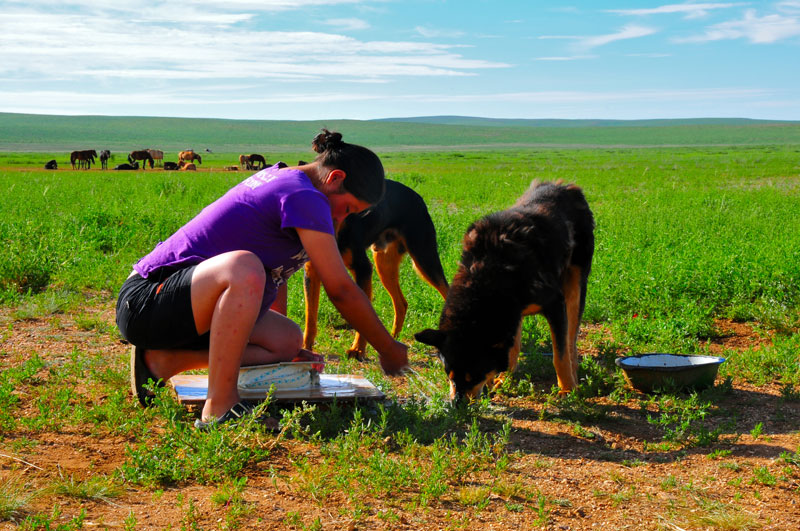 Mongolie